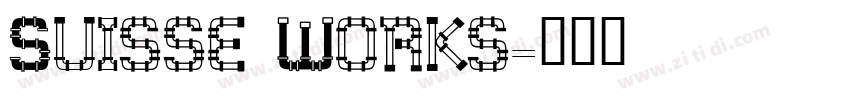 Suisse Works字体转换